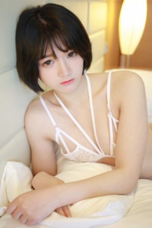 91网站免费观看_HD免费观看超清