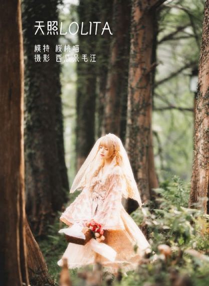 东北往事之黑道风云全集免费观看_1080P手机在线看